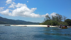 Photo de Pulau Mentigi zone sauvage