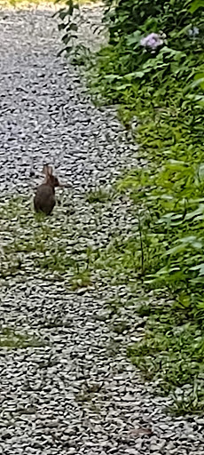 Nature Preserve «Kelley Nature Preserve», reviews and photos, 297 OH-126, Loveland, OH 45140, USA