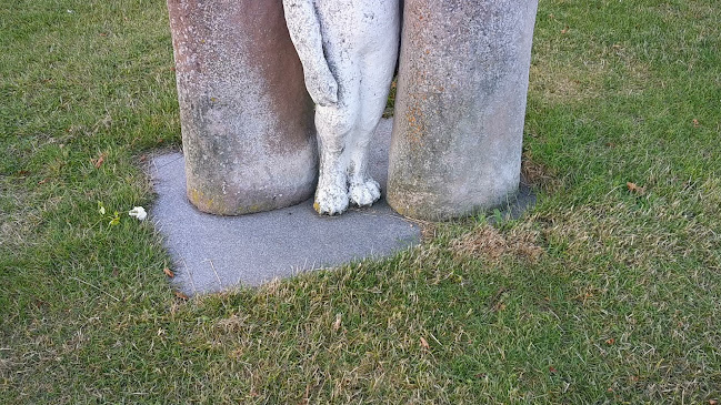 Satyr, kat og elefant af Pontus Kjerrman - Ringsted