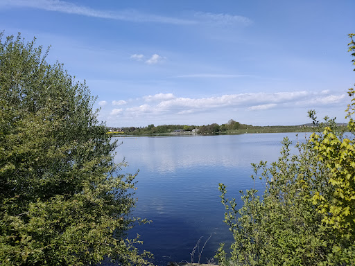 Thrybergh Country Park