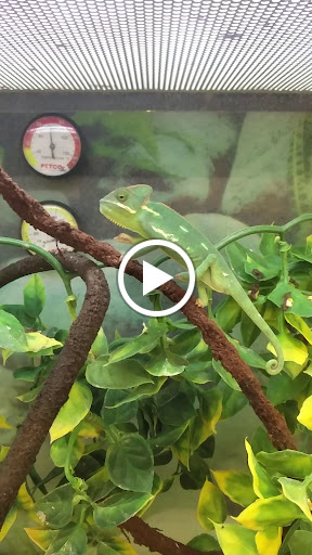 Pet Supply Store «Petco Animal Supplies», reviews and photos, 3637 2700 W, West Valley City, UT 84119, USA