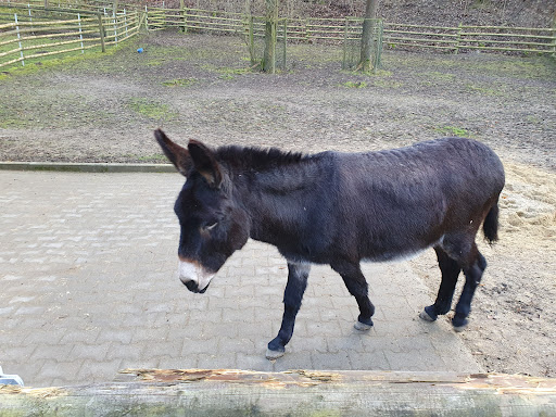 Tiergehege Bad Abbach unter Bad Abbach, 