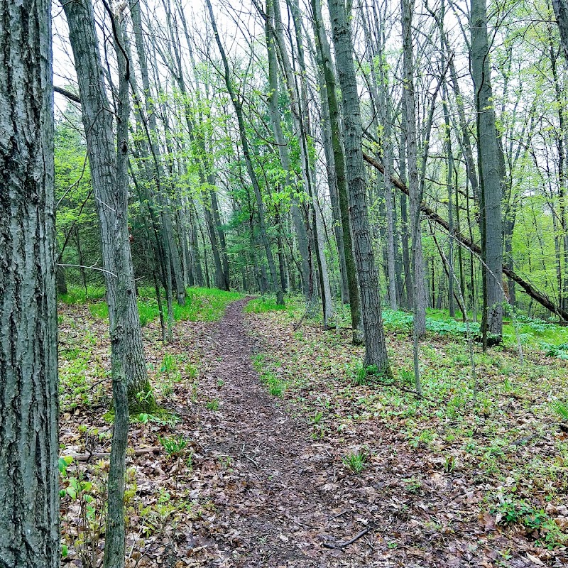 Red Cedar Nature Preserve & River Trail