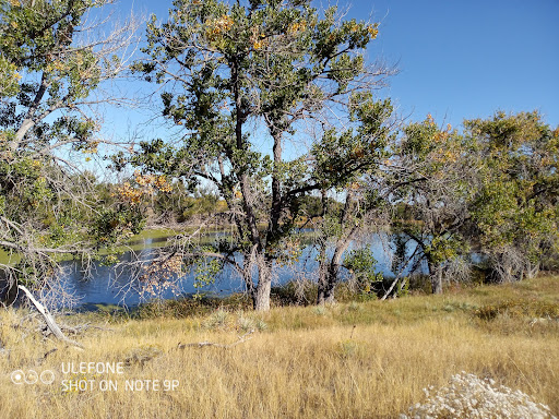 Nature Preserve «Bluff Lake Nature Center», reviews and photos, 3400 Havana Way, Denver, CO 80238, USA