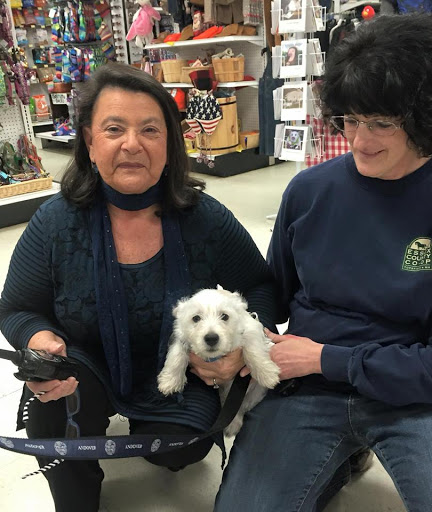 Pet Supply Store «Essex County Co-Op», reviews and photos, 146 S Main St, Topsfield, MA 01983, USA