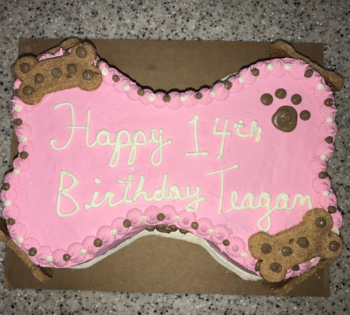 Pet Store «Whisker Bones Supply Co.», reviews and photos, 138 N Main St, Edwardsville, IL 62025, USA