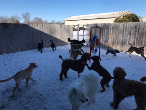 Pet Store «Happy, Clean and Smart», reviews and photos, 5700 W Kilgore Ave, Muncie, IN 47304, USA