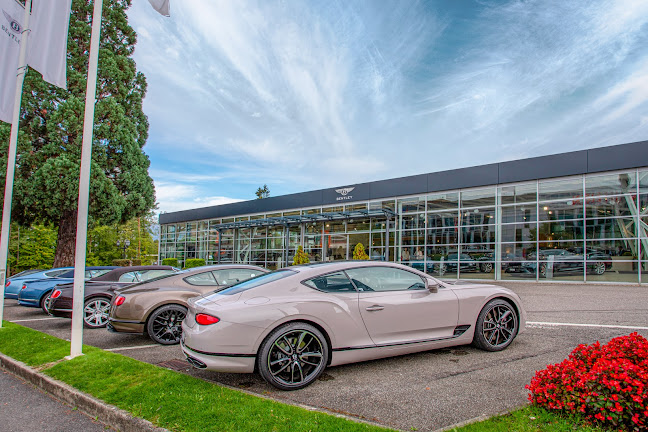 Rezensionen über Bentley Genève - Groupe Chevalley in Genf - Autohändler