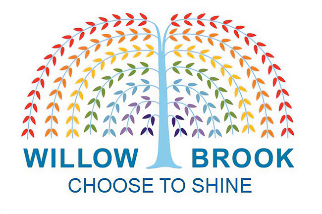 Willow Brook Primary School & Nursery - Colchester