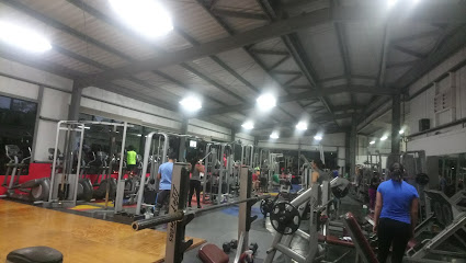 SCANDINAVIA GYM SAN LUCAS