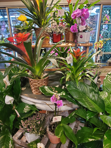 Orchid grower Flint