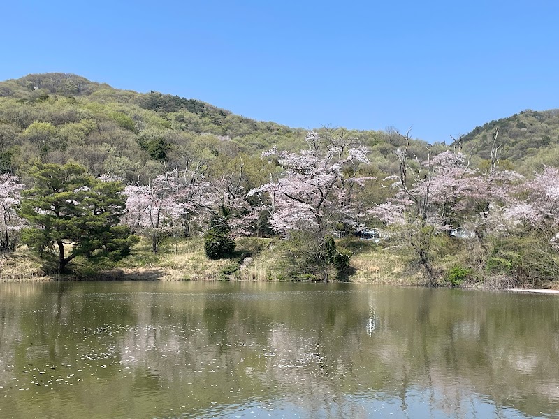菅塩沼の桜並木