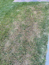 Landscape Water Experts - Photo 6 - Car repair in , Carlsbad