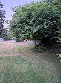 F.A.V Landscaping - Photo 3 - Car repair in , Tacoma