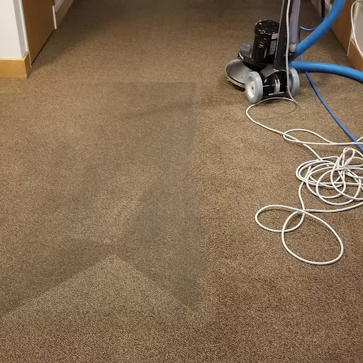 Efficient Carpet Cleaners