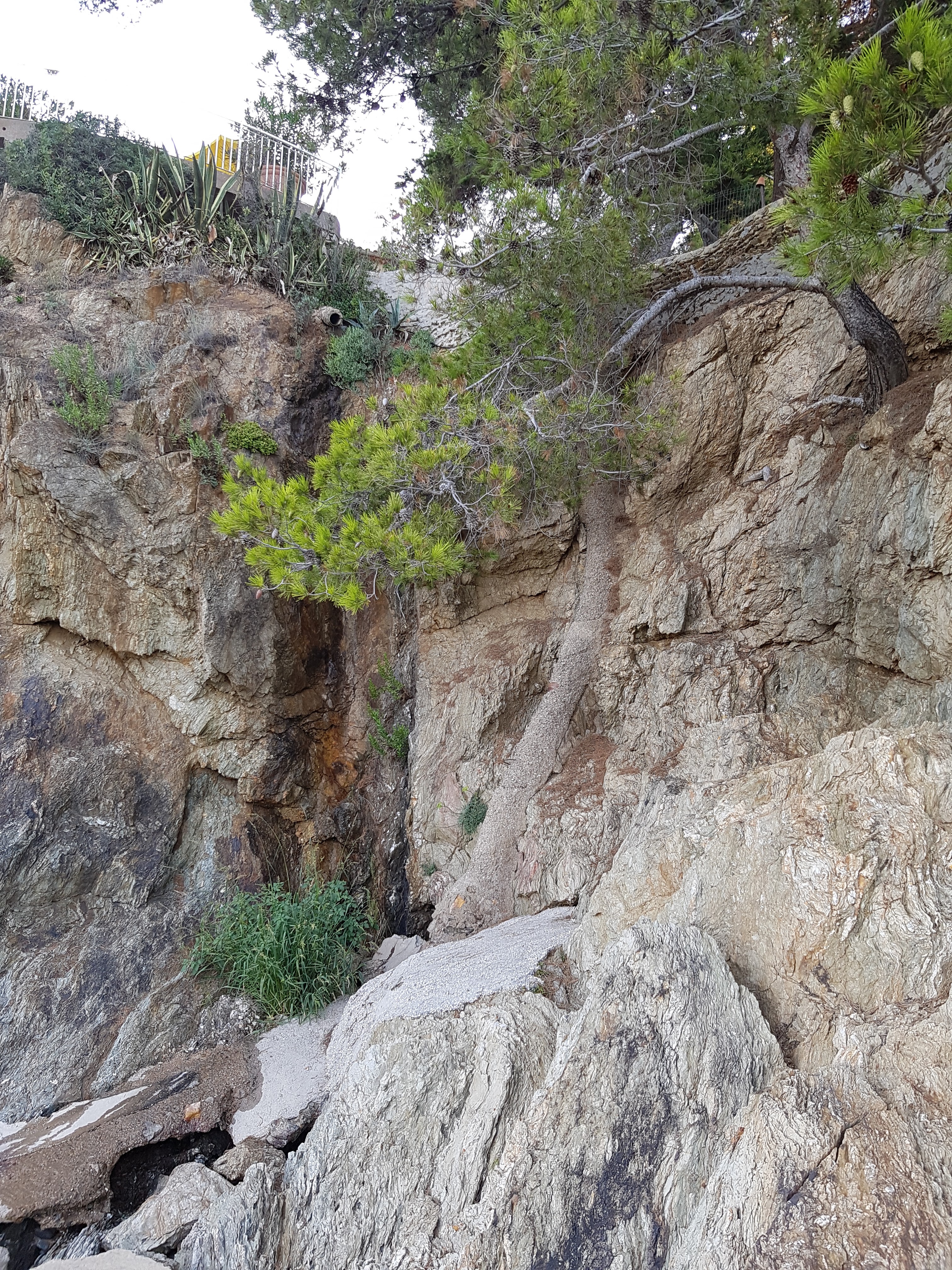 Photo n° 1 de l'avis de jonathan.o fait le 16/08/2018 à 18:56