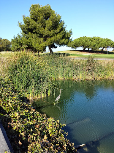 Public Golf Course «Shoreline Golf Links», reviews and photos, 2940 N Shoreline Blvd, Mountain View, CA 94043, USA