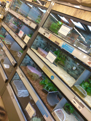 Pet Supply Store «Petco Animal Supplies», reviews and photos, 10055 Wellington Rd, Manassas, VA 20110, USA