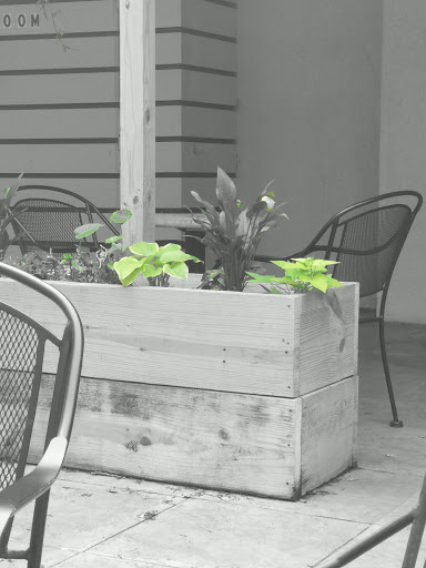 Coffee Shop «MoonBeans Coffee», reviews and photos, 5401 N 10th St #102, McAllen, TX 78504, USA