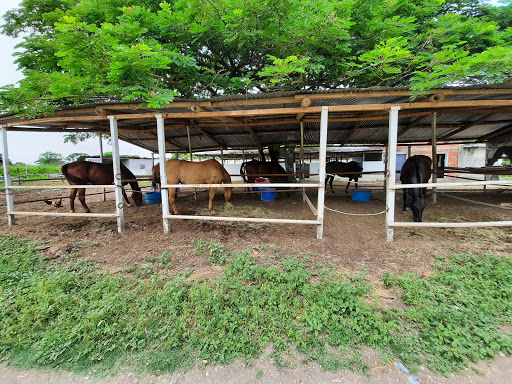 Guayaquil Polo Club