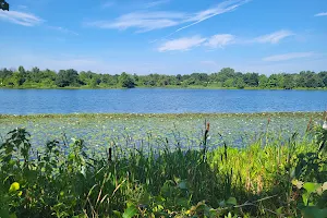 Lake Artemesia image