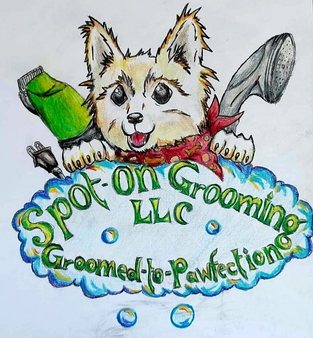 Spot-on Grooming LLC Mobile Dog Grooming