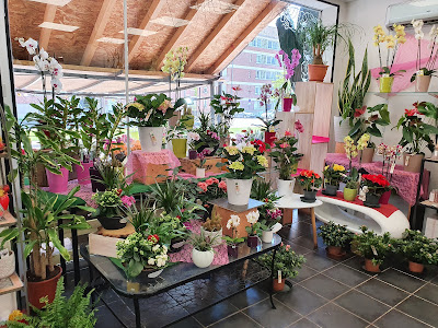 Viva Fleurs à Le Mans