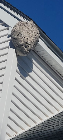 Insight Pest Solutions - Boston, MA - Photo 8 - Car repair in Millbury, MA, Worcester