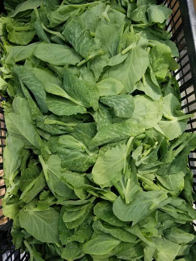 Grocery Store «Narin Market LLC», reviews and photos, 759 Potters Ave, Providence, RI 02907, USA