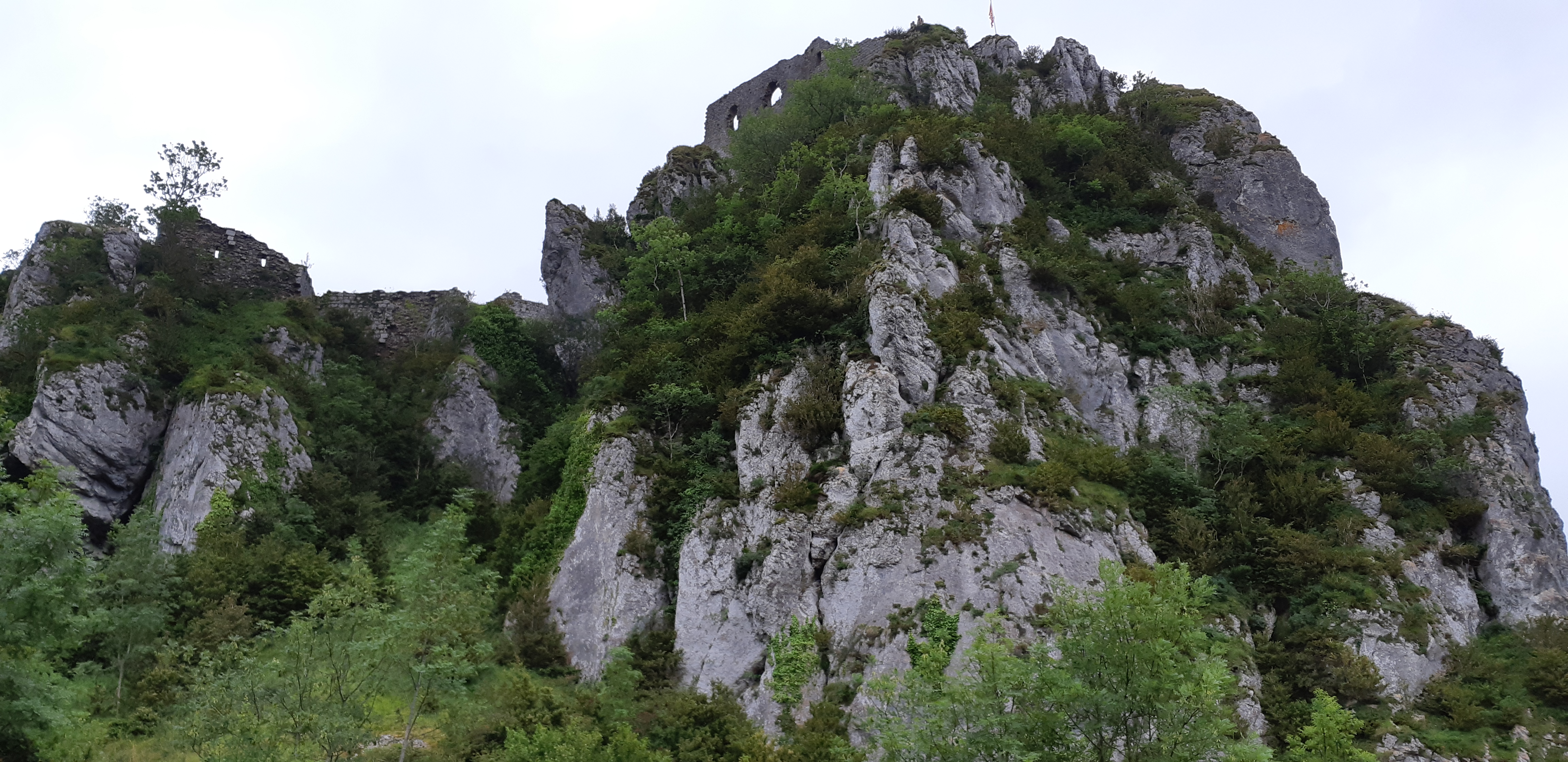 Photo n° 7 de l'avis de Zyzomis. fait le 30/07/2018 à 11:24