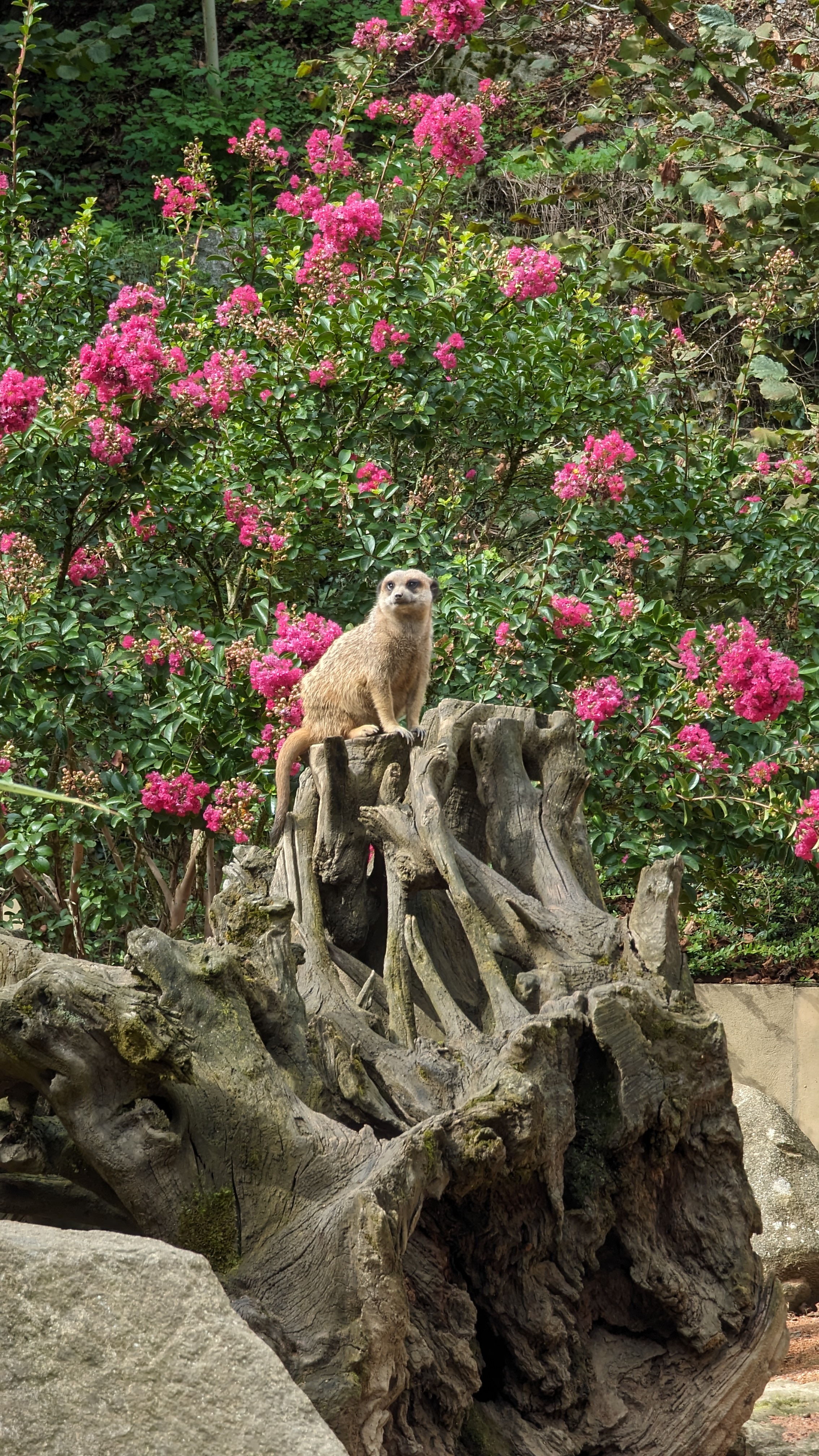 Photo n° 8 de l'avis de OruhaSue. fait le 29/09/2023 à 21:35