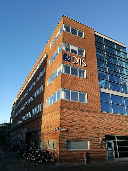 Dansk Institut for Internationale Studier