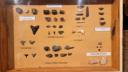 Tourist Attraction «IMAG History & Science Center (formerly Imaginarium Science Center)», reviews and photos, 2000 Cranford Ave, Fort Myers, FL 33916, USA