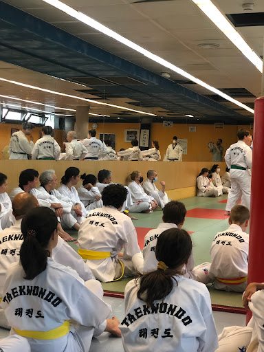 taekwondo Madrid