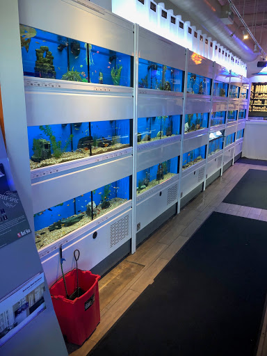 Tropical Fish Store «Fish Room», reviews and photos, 6119 Capital Blvd, Raleigh, NC 27616, USA