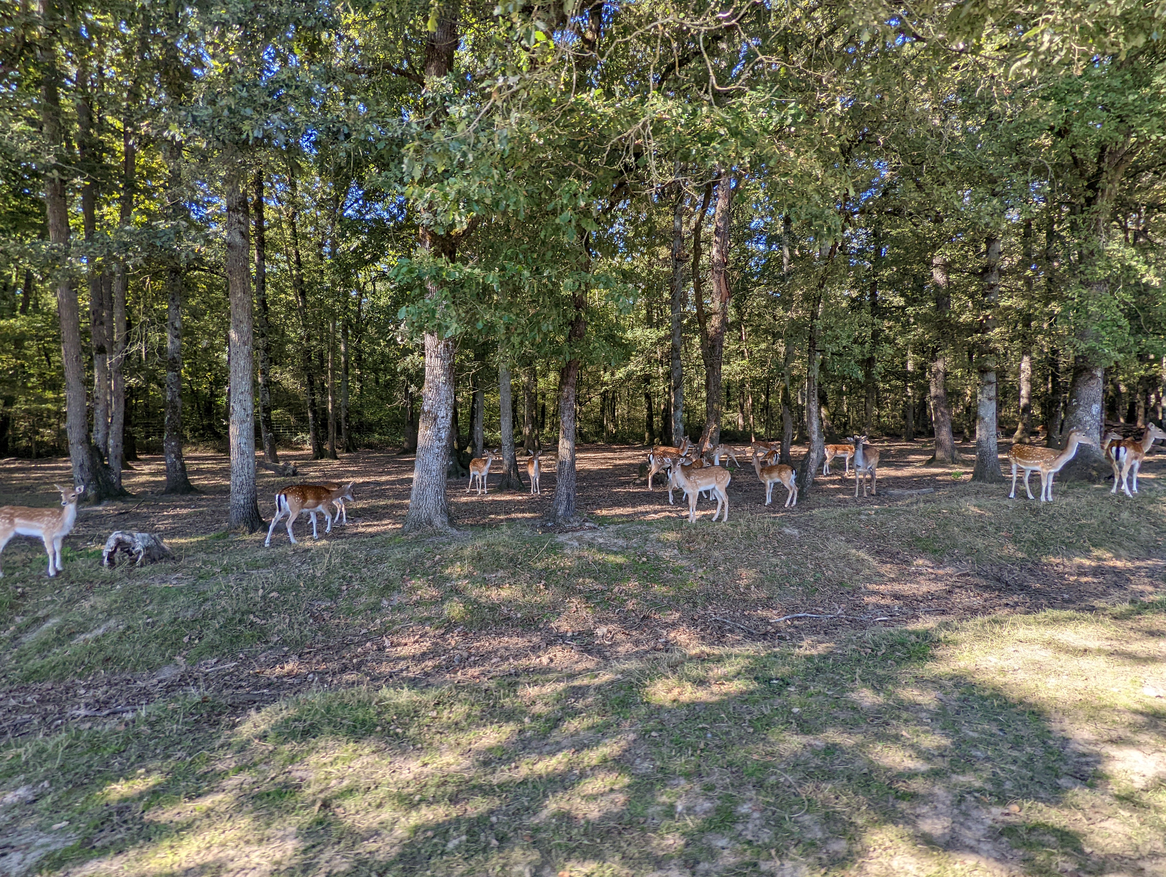 Photo n° 3 de l'avis de Virginie.e fait le 18/09/2022 à 19:51