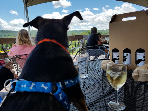 Winery «Six Mile Creek Vineyard», reviews and photos, 1551 Slaterville Rd, Ithaca, NY 14850, USA