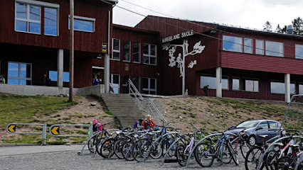 Birkeland skole