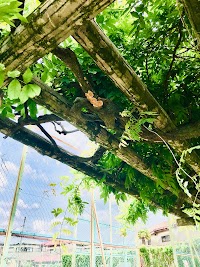 りす公園
