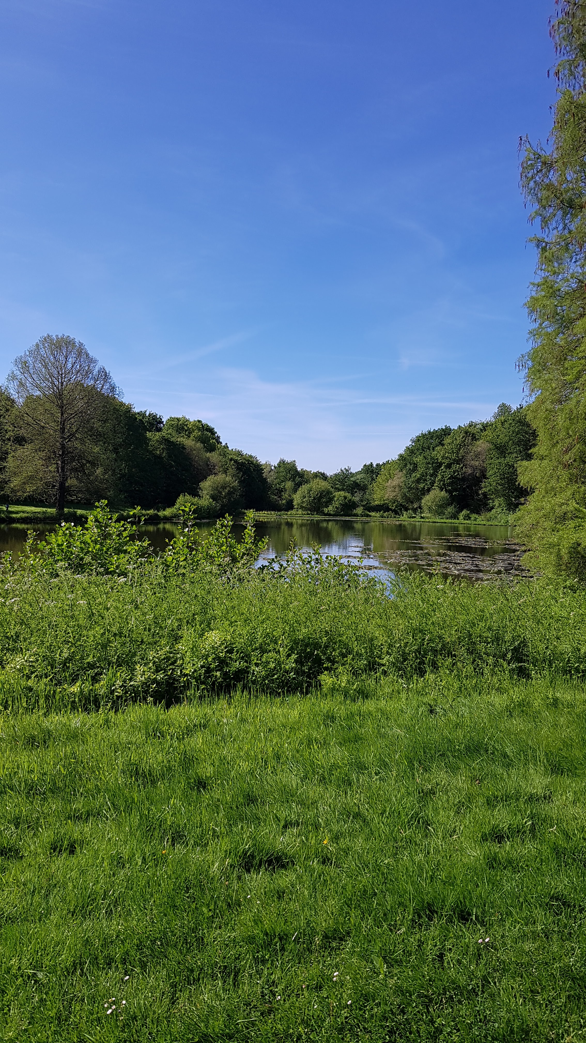 Photo n° 7 de l'avis de emmanuel.i fait le 15/05/2019 à 05:22