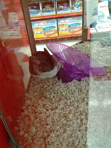 Pet Supply Store «Petco Animal Supplies», reviews and photos, 85 State St, Orem, UT 84058, USA