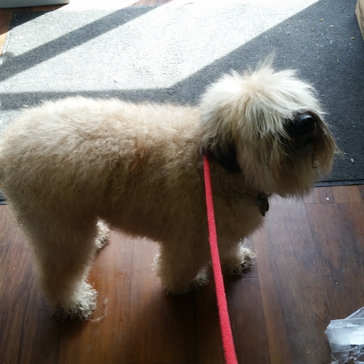 Pet Store «Pet Valu», reviews and photos, 2290 Central Park Ave, Yonkers, NY 10701, USA