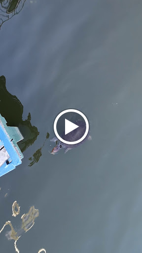 Theme Park «Fun Spot America Theme Parks-Kissimmee», reviews and photos, 2850 Florida Plaza Blvd, Kissimmee, FL 34746, USA