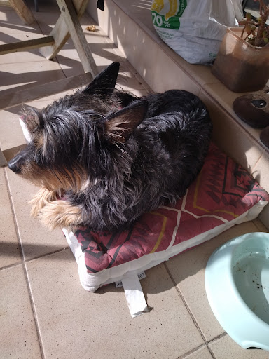 La Salut, Centro Veterinario (Sabadell) en Sabadell