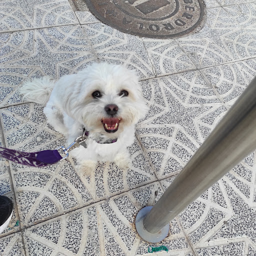 Centro Veterinario Valverde en Madrid