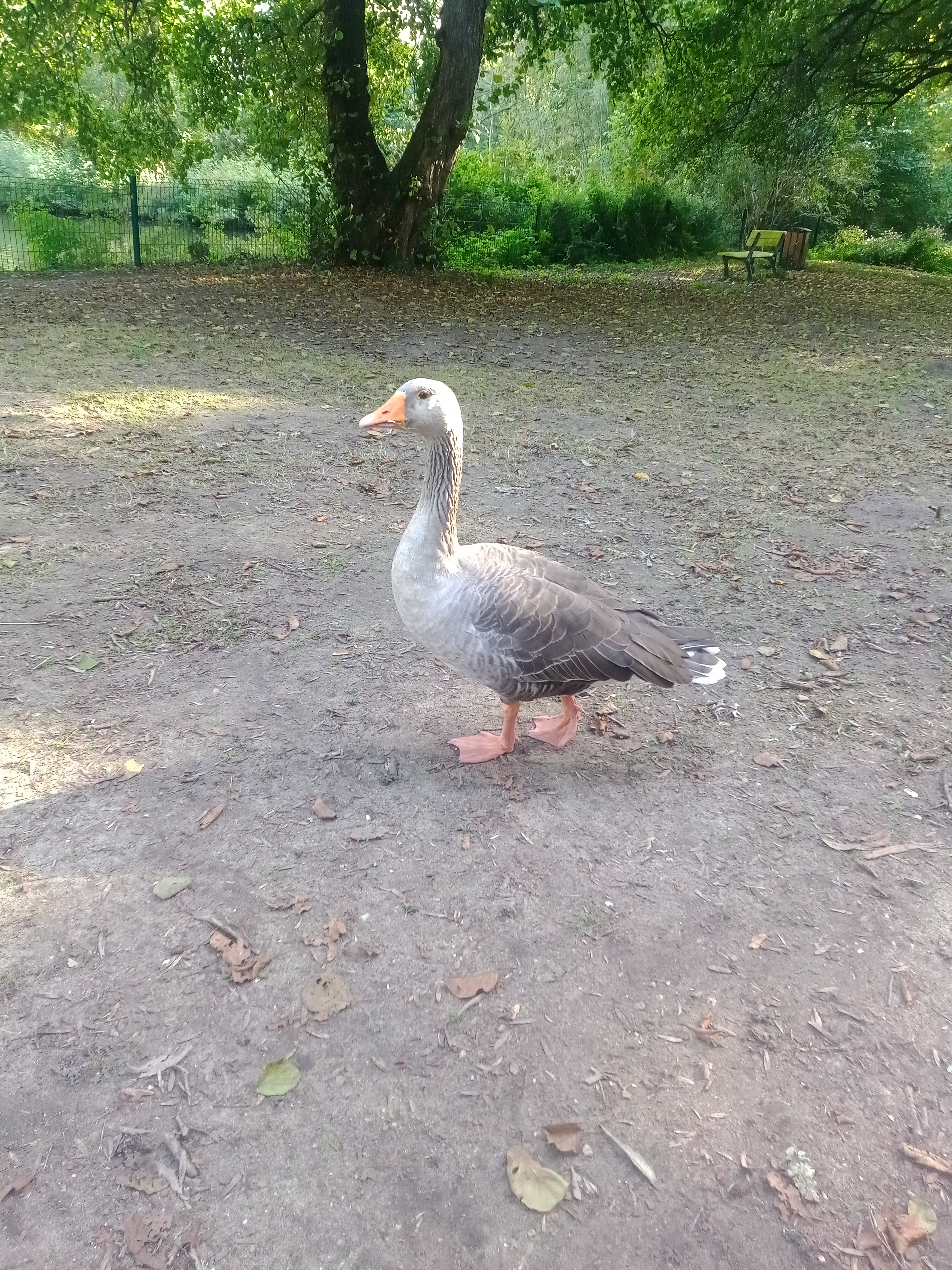 Photo n° 4 de l'avis de Marjorie.a fait le 03/11/2022 à 19:18