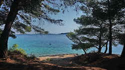 Photo de Zakanj beach zone sauvage