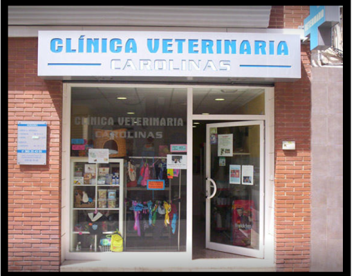 Veterinarios Alicante Urgencias 639 667 646
