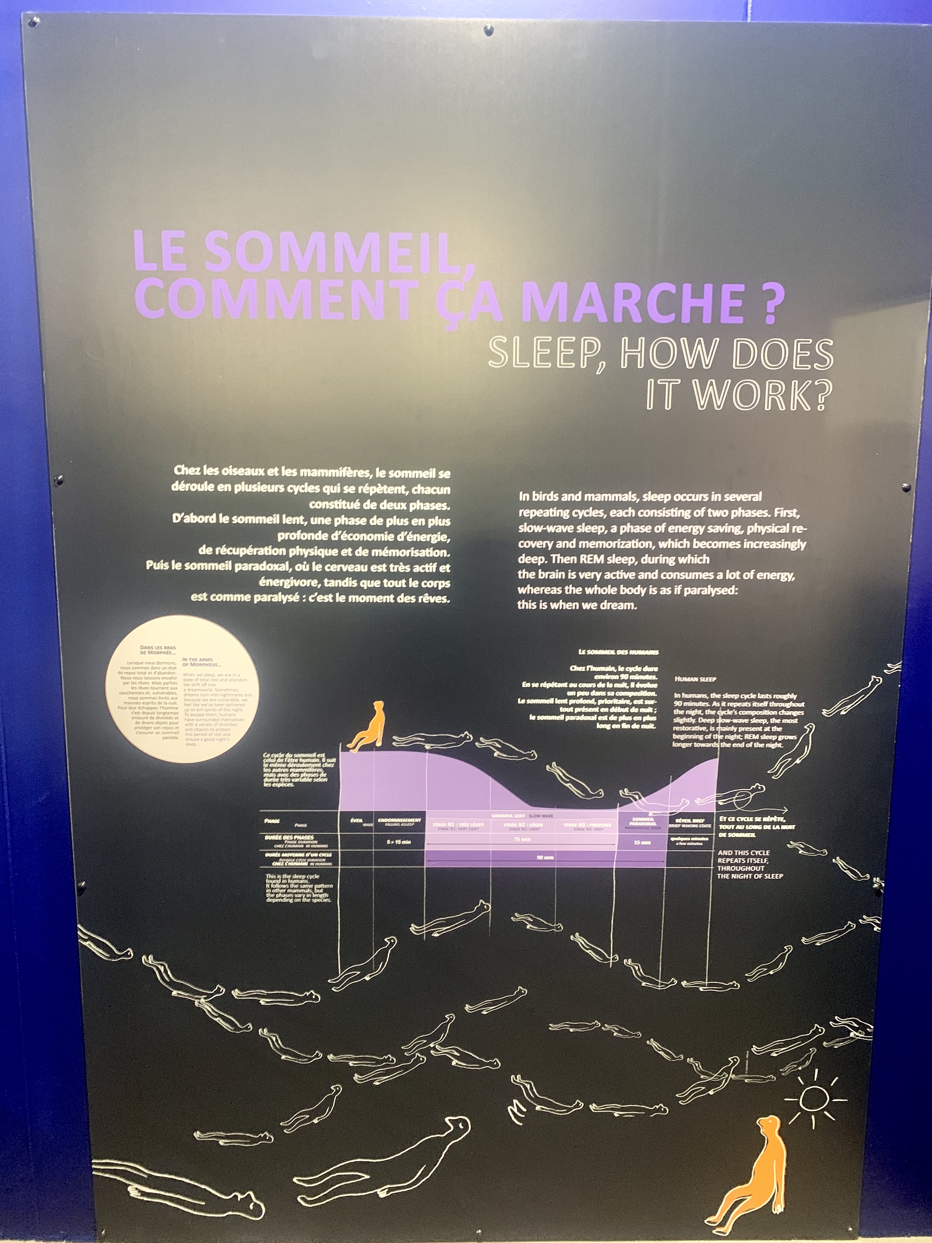 Photo n° 8 de l'avis de Franck.o fait le 10/03/2024 à 14:47