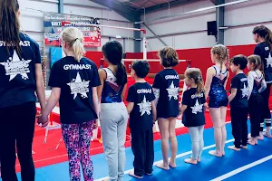 Leamington and Warwick Gymnastics Club image